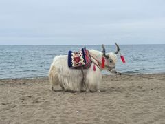 -青海湖国家重点风景名胜区