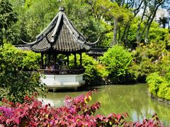 -上海醉白池公园