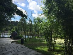 -金山植物公园