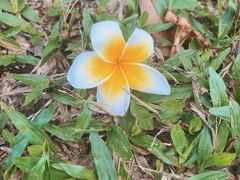 -亚龙湾海底世界