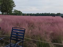 -汉长安城未央宫国家考古遗址公园