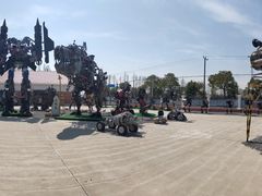 -上海长兴岛郊野公园