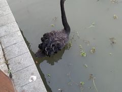 -江南大学(蠡湖校区)