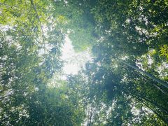-泰山风景名胜区-普照寺