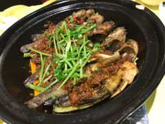 -石头咕(葵蓬店)