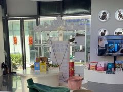 -小猫来了·猫咪专售(红山六九七九店)