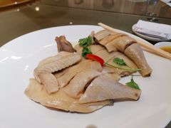 -星湖愉景酒家