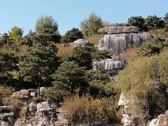 -北京西山国家森林公园