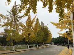 -成都中医药大学(温江校区)