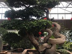 -河北村民俗体验园