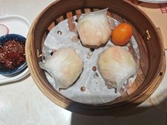 -点都德·毕德寮
