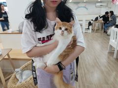-李小姐の猫咖啡馆(五角场店)