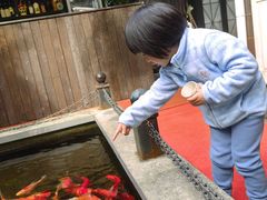 -野蔓果·山野菜(西湖景区·龙井茶田店)