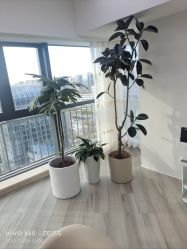 -HEYAN荷妍专业脱毛连锁机构