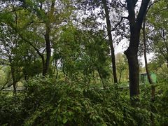 -西湖风景区-江洋畈生态公园