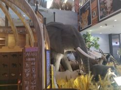 -卡通尼·Safari非洲探索乐园·生日会(金桥国际商业广场店)