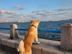 -八大峡公园