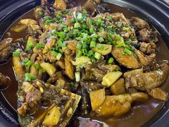 甲鱼爱上蛙-7890+霸王甲·甲鱼爱尚蛙(坪洲店)