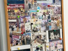 -青奢宠物·青奢猫舍