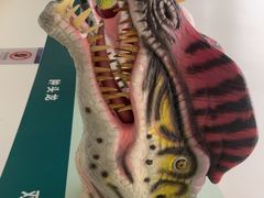 -安徽省地质博物馆