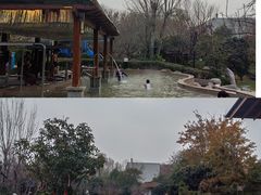 -思念果岭悦温泉