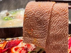 -大龙燚·旷野鲜火锅(广州首店)