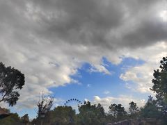 -上海野生动物园