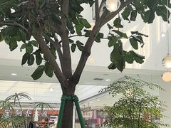 -大树餐厅(红旗街万达店)