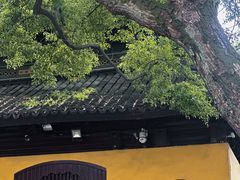 -西园戒幢律寺