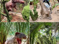 -呀路古热带植物园