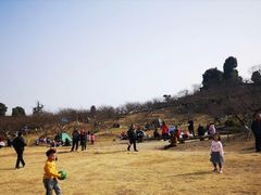 -秀丽东方