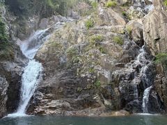 -霸王岭国家森林公园