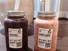-野萃山·潮汕厚果汁(十亩地店)