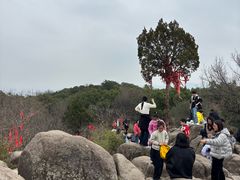 -灵岩山风景区