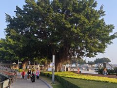 -石炮台公园