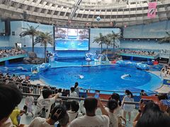-海合安成都极地海洋公园