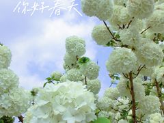 -院士公园