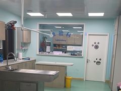 -北京观赏动物医院·24小时大型综合·猫专科·异宠专科
