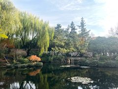 -秋霞圃