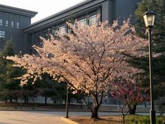 -北京工商大学(阜成路校区)