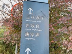 -三林塘老街