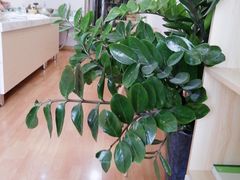 -糖秋Cake DIY·蛋糕定制·甜品台(观音桥店)