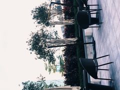 大堂-深圳四季酒店·馥自助餐厅