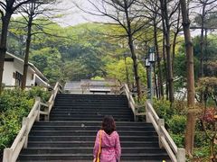 -广州市帽峰山景区