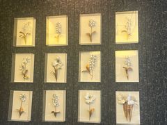 -海湾壹品·粤菜·早茶·烤鸭(拱北店)