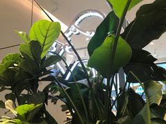 -喜茶(上海五角场万达店)