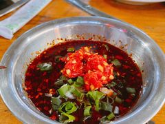 小米辣碟子-陈记泸州酸菜豆花火锅(建设路店)