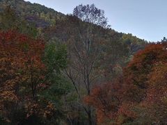 -驼梁风景区