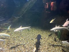 -常州海昌海洋探索馆