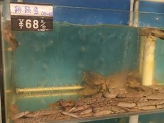 水产区-台州卡金海鲜楼(上南路店)